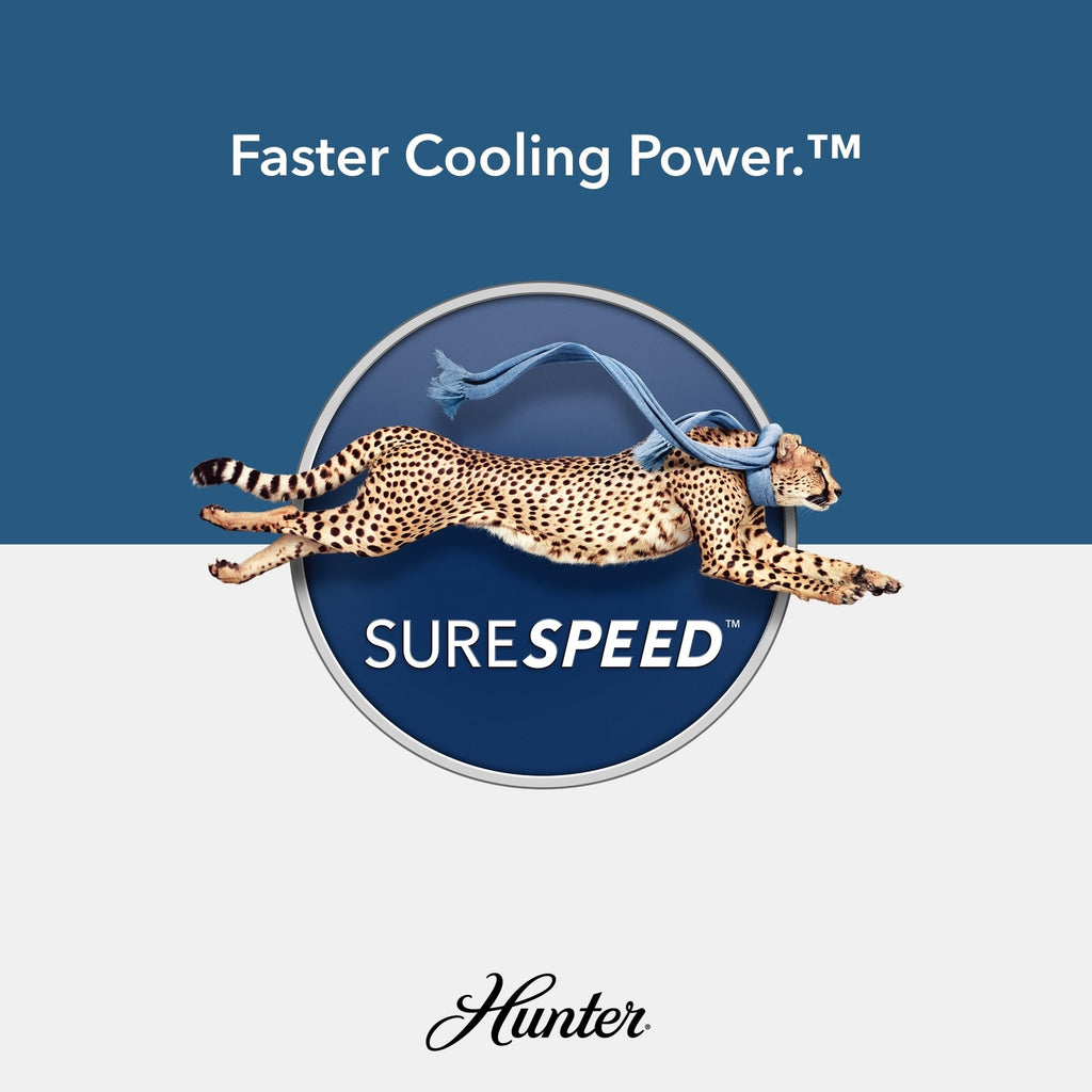 Hunter 52 Shorebreak WeatherMax Indoor / Outdoor Ceiling Fan w/ Wall Control - Extreme Weather, Salt & Corrosion-Resistant