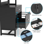 File Cabinet with 2 Drawer, Modern Filing Cabinet Printer Stand with Lock
